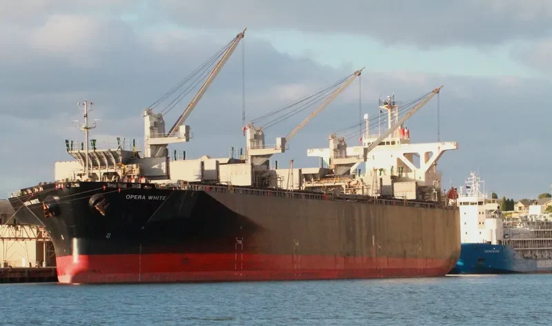 OPERA WHITE Bulk Carrier IMO 9342748