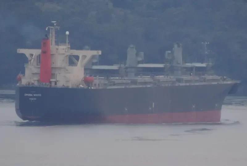OPERA WHITE Bulk Carrier IMO 9342748 photo 2