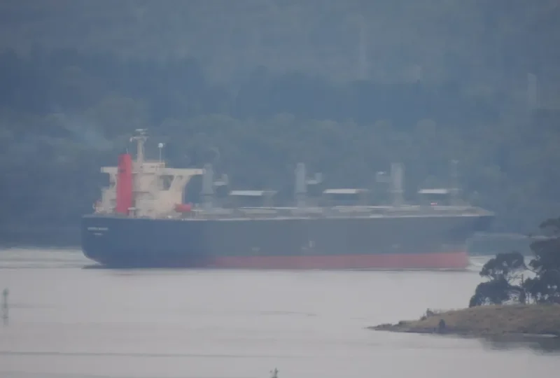 OPERA WHITE Bulk Carrier IMO 9342748 photo 3
