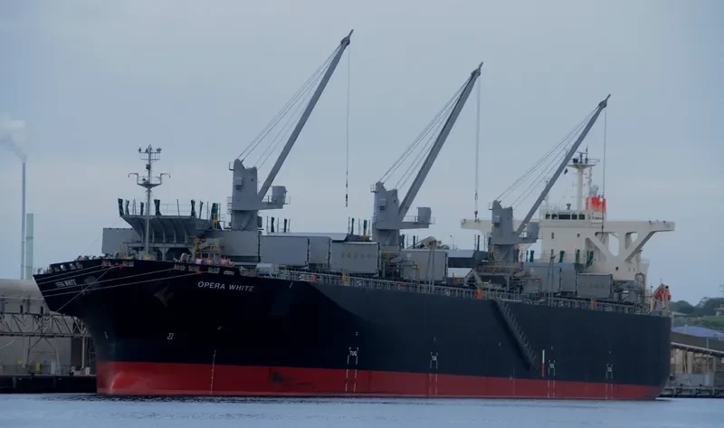 OPERA WHITE Bulk Carrier IMO 9342748 photo 4