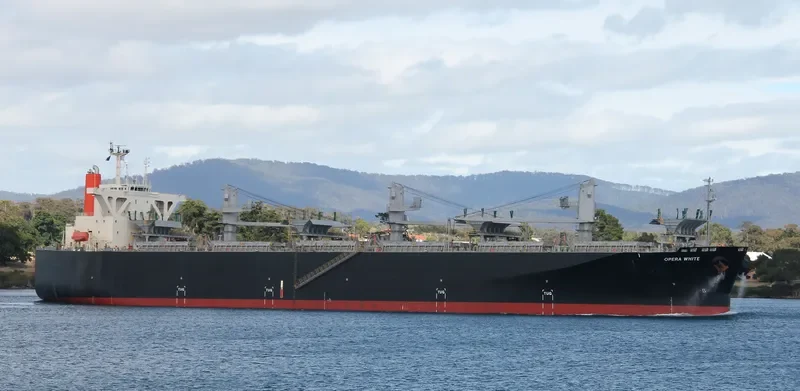OPERA WHITE Bulk Carrier IMO 9342748 photo 5
