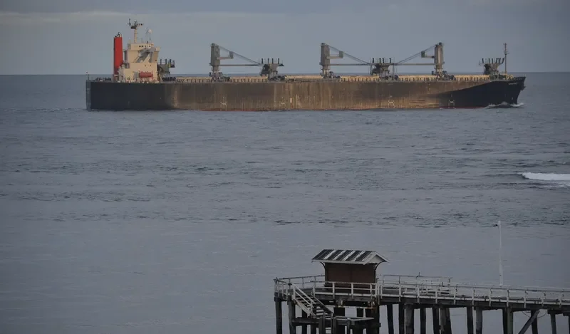 OPERA WHITE Bulk Carrier IMO 9342748 photo 6