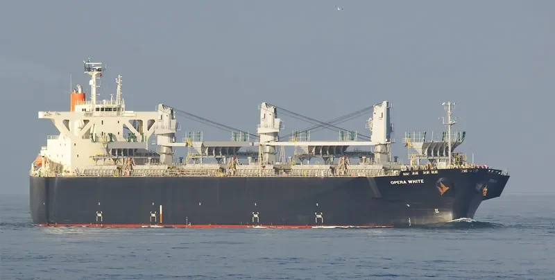 OPERA WHITE Bulk Carrier IMO 9342748 photo 7