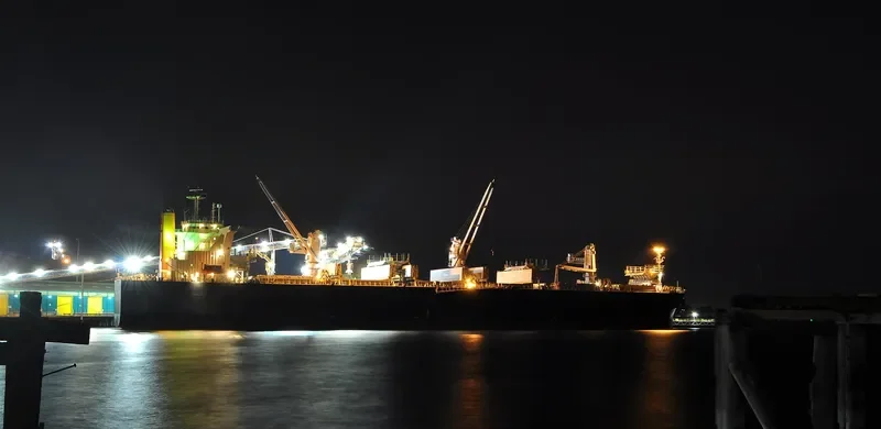 OPERA WHITE Bulk Carrier IMO 9342748 photo 9