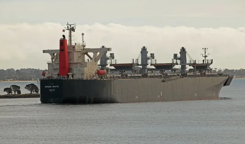 OPERA WHITE Bulk Carrier IMO 9342748 photo 10