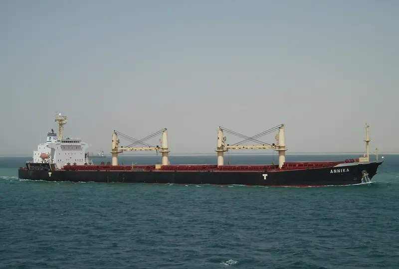 GOLD GEMINI Bulk Carrier IMO 9342750