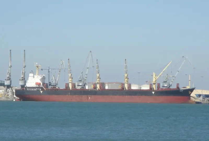 GOLD GEMINI Bulk Carrier IMO 9342750 photo 3