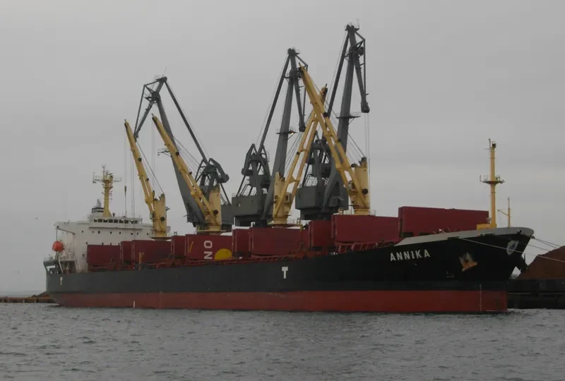 GOLD GEMINI Bulk Carrier IMO 9342750 photo 4