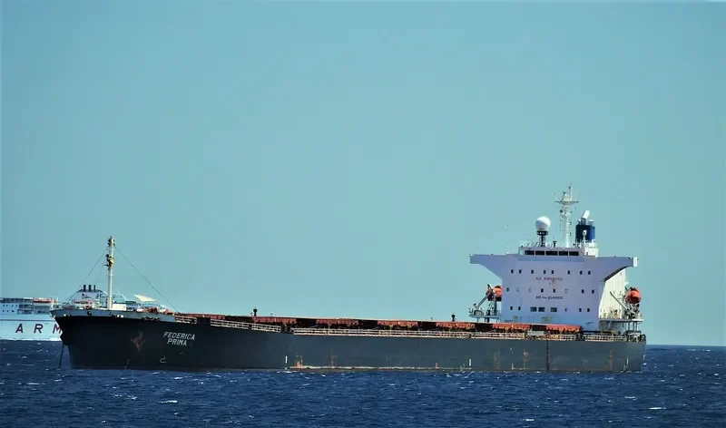 ORIENT PRIMA Bulk Carrier IMO 9342803