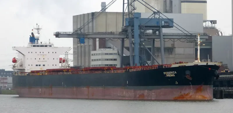 ORIENT PRIMA Bulk Carrier IMO 9342803 photo 2