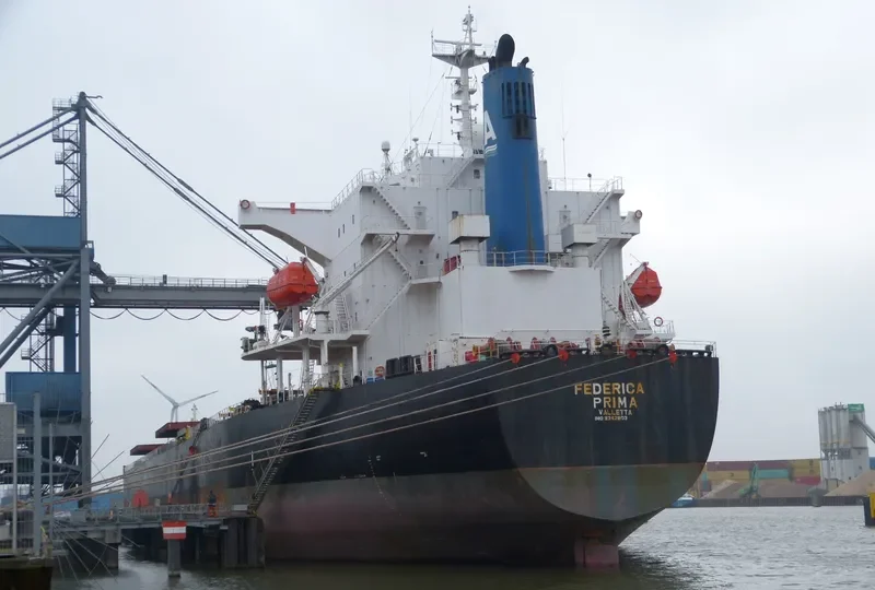 ORIENT PRIMA Bulk Carrier IMO 9342803 photo 4
