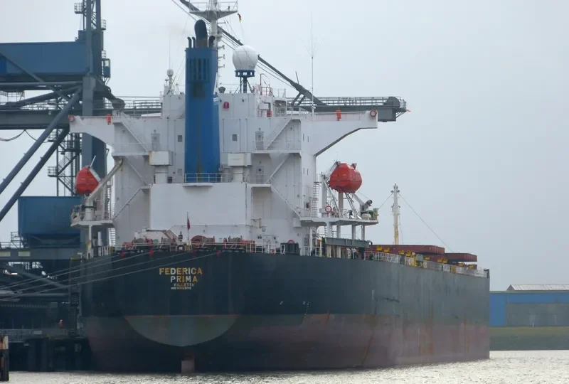 ORIENT PRIMA Bulk Carrier IMO 9342803 photo 5