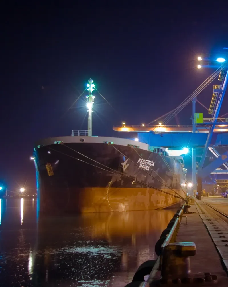 ORIENT PRIMA Bulk Carrier IMO 9342803 photo 7