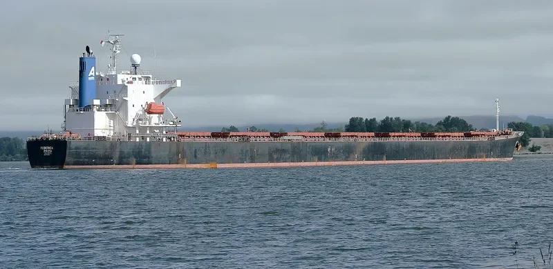 ORIENT PRIMA Bulk Carrier IMO 9342803 photo 8