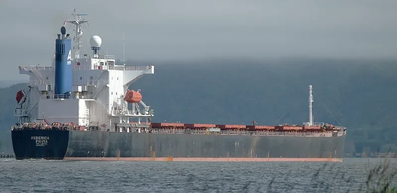 ORIENT PRIMA Bulk Carrier IMO 9342803 photo 9
