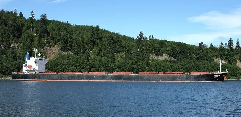 ORIENT PRIMA Bulk Carrier IMO 9342803 photo 10