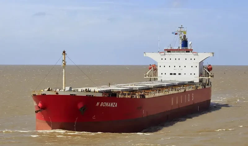 N BONANZA Bulk Carrier IMO 9342815 photo 6