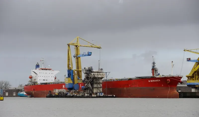 N BONANZA Bulk Carrier IMO 9342815 photo 8