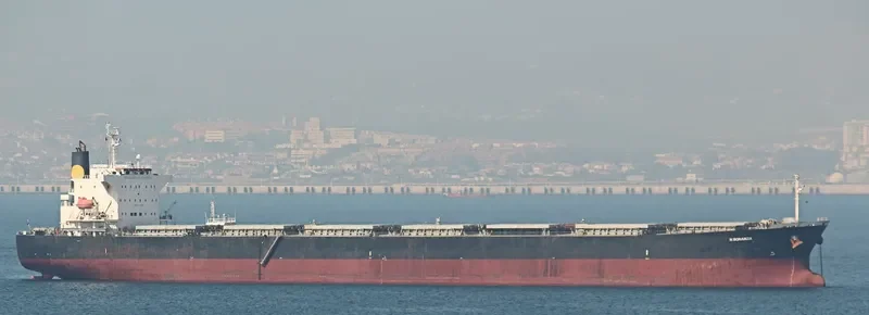 N BONANZA Bulk Carrier IMO 9342815 photo 10