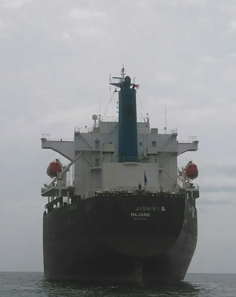 FANTASEA Bulk Carrier IMO 9342827 photo 2