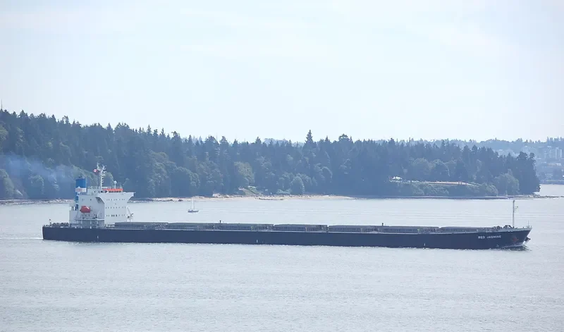 FANTASEA Bulk Carrier IMO 9342827 photo 5
