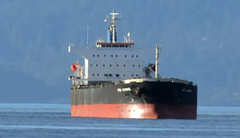 FANTASEA Bulk Carrier IMO 9342827 photo 6