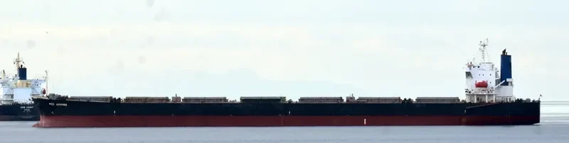 FANTASEA Bulk Carrier IMO 9342827 photo 8