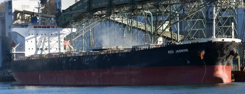 FANTASEA Bulk Carrier IMO 9342827 photo 9
