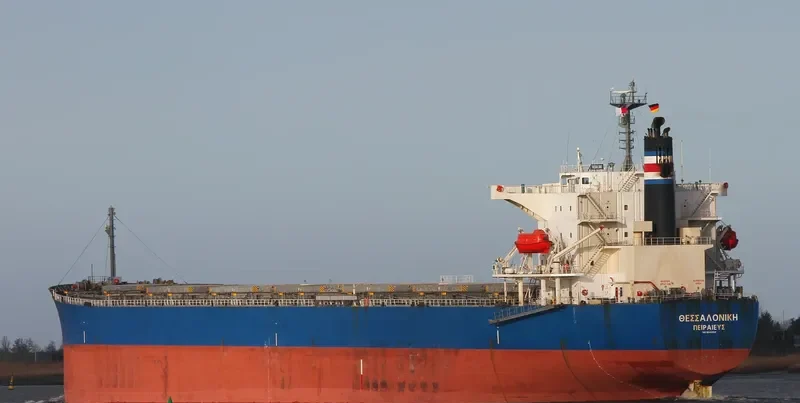 AMOY SUNNY Bulk Carrier IMO 9342841 photo 7