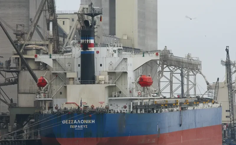 AMOY SUNNY Bulk Carrier IMO 9342841 photo 9