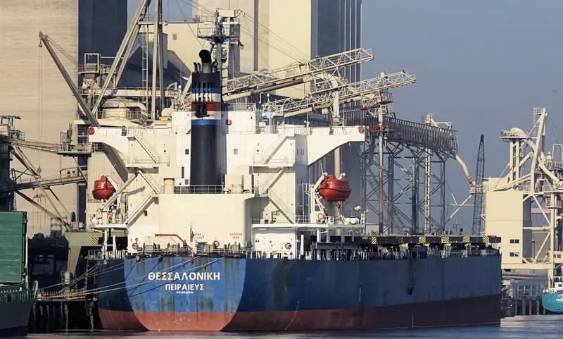 AMOY SUNNY Bulk Carrier IMO 9342841 photo 10