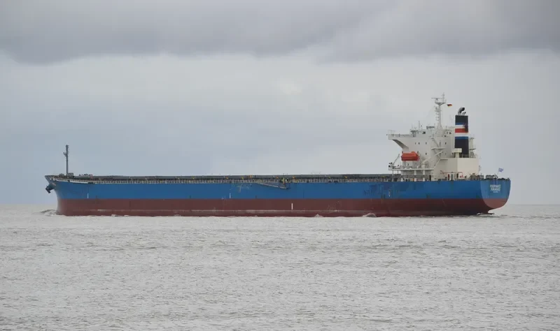 IVESTOS X Bulk Carrier IMO 9342853