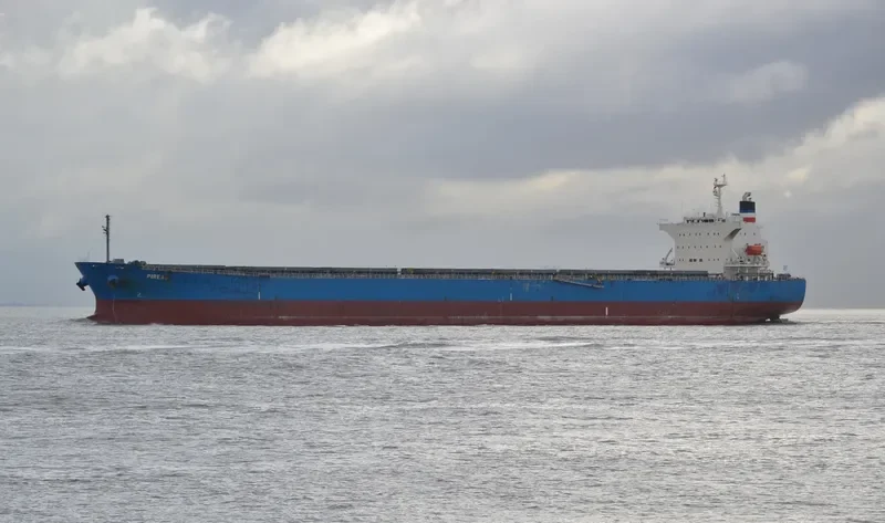 IVESTOS X Bulk Carrier IMO 9342853 photo 2