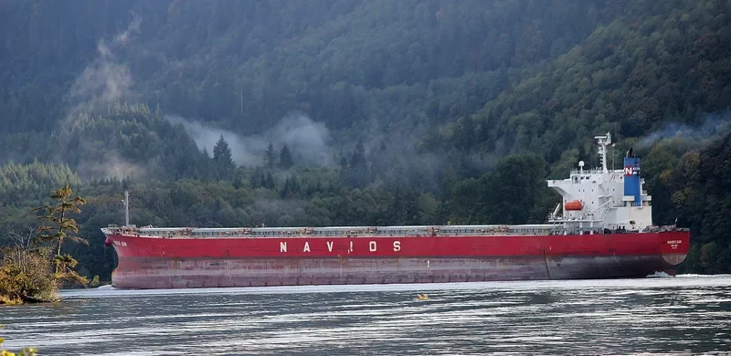NAVIOS SUN Bulk Carrier IMO 9342865