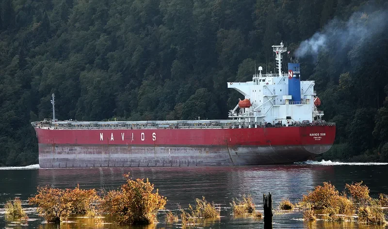 NAVIOS SUN Bulk Carrier IMO 9342865 photo 2