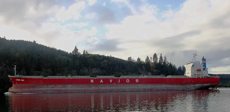 NAVIOS SUN Bulk Carrier IMO 9342865 photo 3