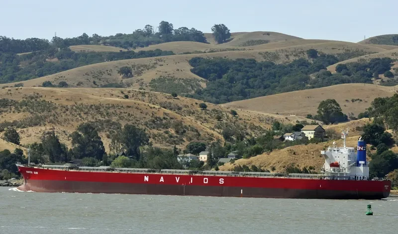NAVIOS SUN Bulk Carrier IMO 9342865 photo 9