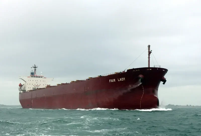 FAIR LADY Bulk Carrier IMO 9342877 photo 2