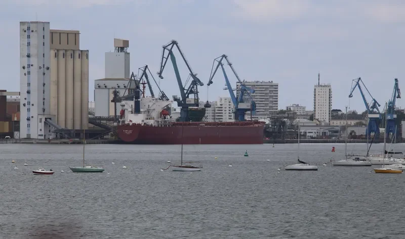 FAIR LADY Bulk Carrier IMO 9342877 photo 3