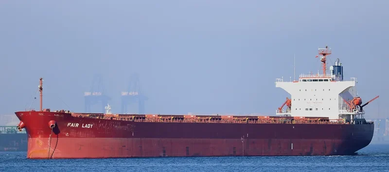 FAIR LADY Bulk Carrier IMO 9342877 photo 5
