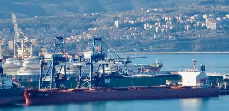 FAIR LADY Bulk Carrier IMO 9342877 photo 7