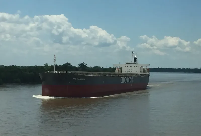 ANNA OLDENDORFF Bulk Carrier IMO 9342889