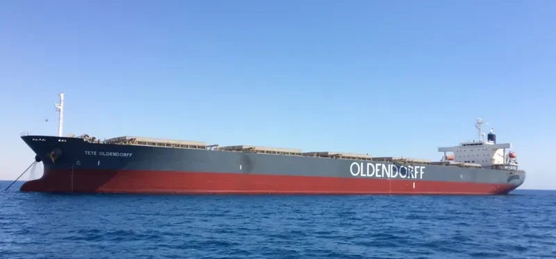 ANNA OLDENDORFF Bulk Carrier IMO 9342889 photo 2