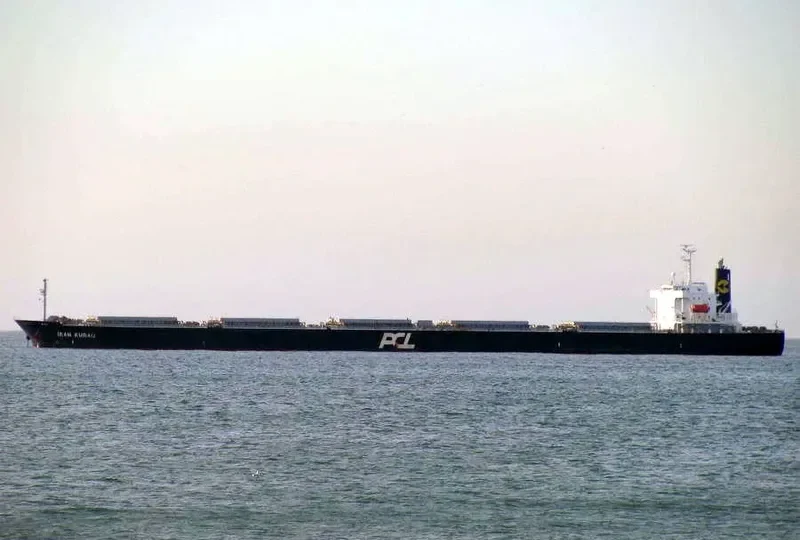 ANNA OLDENDORFF Bulk Carrier IMO 9342889 photo 3