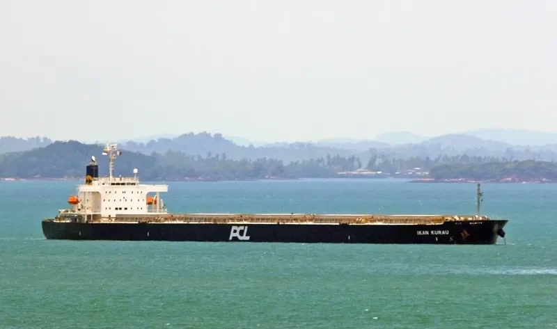 ANNA OLDENDORFF Bulk Carrier IMO 9342889 photo 4