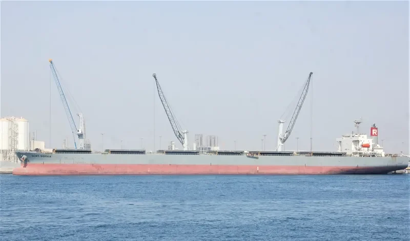 GERM SOPHIA Bulk Carrier IMO 9342891 photo 2