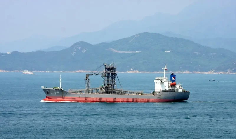 SHIN YANG General Cargo IMO 9343182 photo 2
