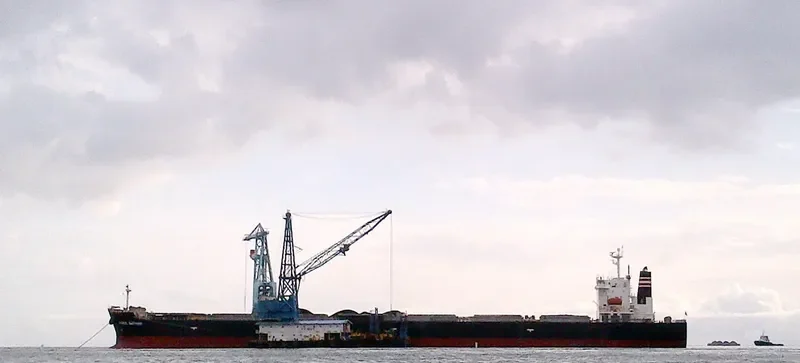 CORAL SAPPHIRE Bulk Carrier IMO 9343302