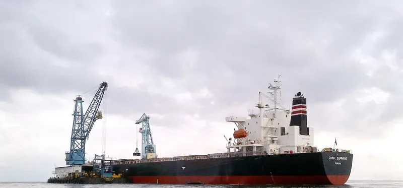 CORAL SAPPHIRE Bulk Carrier IMO 9343302 photo 2