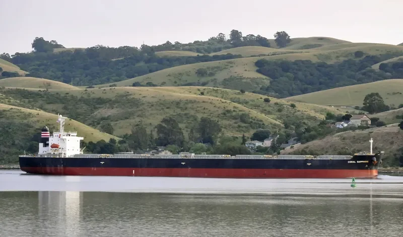 CORAL SAPPHIRE Bulk Carrier IMO 9343302 photo 3